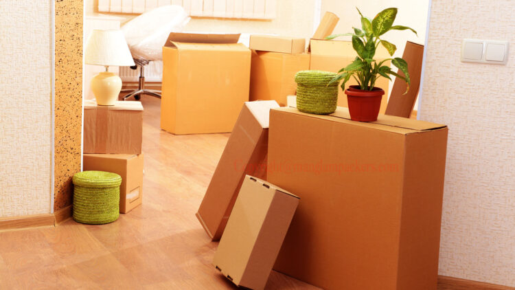 services by Professional Movers and Packers in Sports city